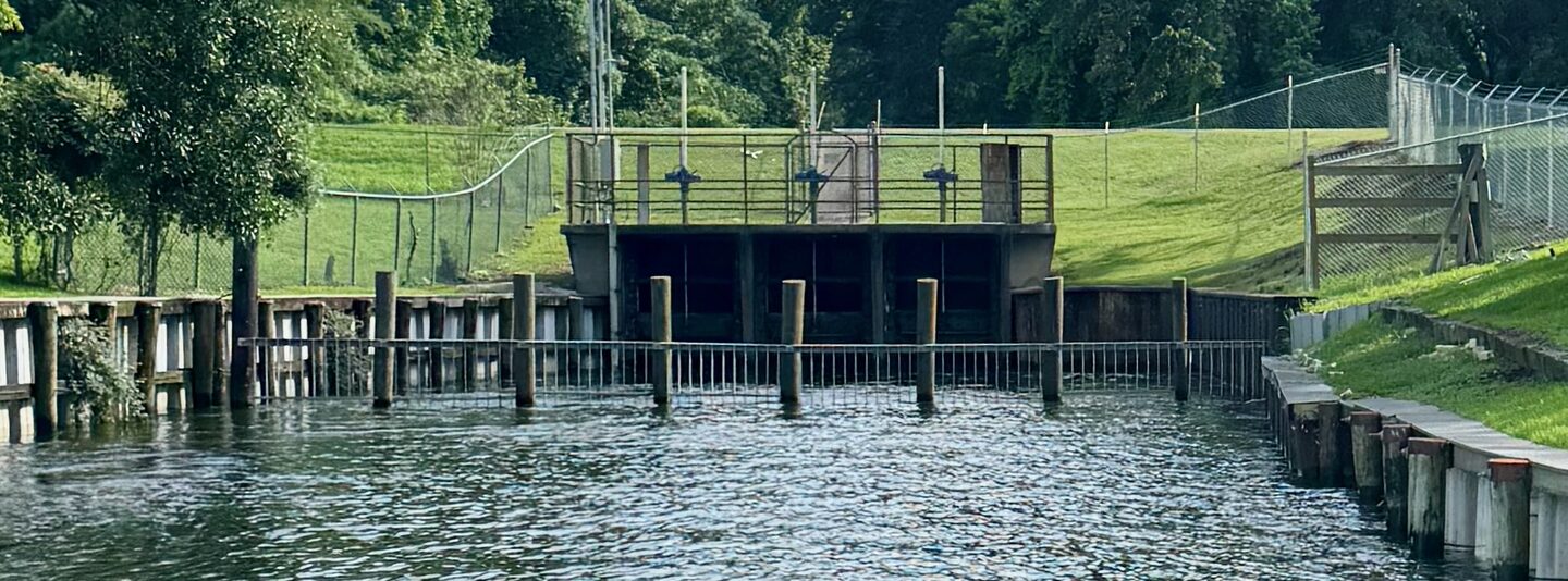 The Lighthouse Canal control structure: three sluice gates in three concrete box culverts set in
                  an earthen levee, seen from across False River.